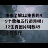 快来了解12生肖的49个数和五行运用吧！12生肖图片码数49个数五行