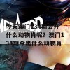 今天澳门134期会开什么动物肖呢？澳门134期今出什么动物肖