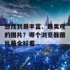 想找到最丰富、最美观的图片？哪个浏览器图片最全好看