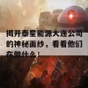 揭开泰星能源大连公司的神秘面纱，看看他们在做什么！