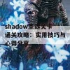 shadow圣诞关卡通关攻略：实用技巧与心得分享