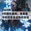 2024年12生肖49码图片最新，来看看今年的生肖运势和幸运数字吧！