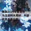 最新2024年香港特马王资料大揭秘，内部信息全面公开！