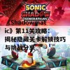 《Shadowmatic》第11关攻略：揭秘隐藏关卡解锁技巧与挑战分享