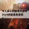 令人关心的新奥内部码2024到底是真是假？