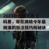 2023白小姐三肖三码黑，带你揭晓今年最精准的投注技巧和秘诀！