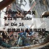 《Rider》游戏关卡12与“Rider or Die 16”的挑战与通关技巧解析