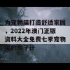 为宠物猫打造舒适家园，2022年澳门正版资料大全免费七季宠物猫的房子计