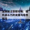 深渊骑士获取攻略：提升战斗力的关键与培养技巧