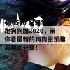 400500 好彩堂跑狗狗图2020，带你看最新的狗狗图乐趣与趣闻分享！