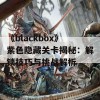 《blackbox》紫色隐藏关卡揭秘：解锁技巧与挑战解析