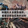 管家婆2023正版资料图片大全博发推荐，看看这些超实用的资料图吧！