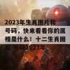 2023年生肖图片和号码，快来看看你的属相是什么！十二生肖图片 号码2023年