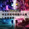 今天的555525王中王开奖号码是什么呢？来看看吧！