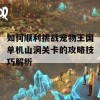 如何顺利挑战宠物王国单机山洞关卡的攻略技巧解析