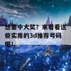 想要中大奖？来看看这些实用的3d推荐号码吧！