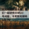 阳光明媚的日子里，我们一起研究3D的23号问题，今天阳光探码3d23号