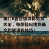 澳门6合正版资料免费大全，带你轻松找到最全的资讯和技巧！