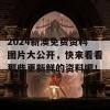 2024新澳免费资料图片大公开，快来看看那些更新鲜的资料吧！