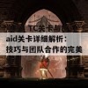 崩坏3 TC关卡与Raid关卡详细解析：技巧与团队合作的完美结合