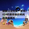 聊聊马会传真一香港2024的那些精彩瞬间和美丽图片