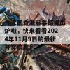 今天的香港彩票结果出炉啦，快来看看2024年11月9日的最新开奖信息！