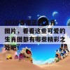 2020香港正版生肖图片，看看这些可爱的生肖图都有哪些精彩之处吧！