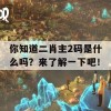 你知道二肖主2码是什么吗？来了解一下吧！