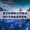 龙之谷圣骑士PK加点技巧与技能选择指南