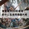 来看看2020年香港的十二生肖码表图片吧！