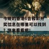 今晚的香港6合和彩开奖信息在哪里可以找到？快来看看吧！