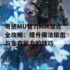 奇迹MU智力MM加点全攻略：提升魔法输出与生存能力的技巧