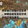 风吹雨打比喻什么生肖，聊聊这些生肖在逆境中的坚韧与勇气