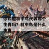 你知道林中鸟代表哪个生肖吗？林中鸟是什么生肖