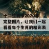 十二生肖卡2020年完整图片，让我们一起看看每个生肖的精彩表现吧！