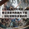 2024年澳门开奖结果记录查询表图片下载，轻松获取你需要的开奖信息！