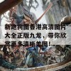 新跑狗图香港高清图片大全正版九龙，带你欣赏更多清晰美图！