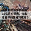 正版49图库免费安装12生肖对照表，快来看看你的生肖对应哪个吧！