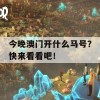 今晚澳门开什么马号？快来看看吧！