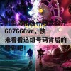 刘伯温精选一码大公开607666vr，快来看看这组号码背后的精彩吧！