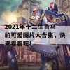 2021年十二生肖马的可爱图片大合集，快来看看吧！