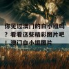 你见过澳门的白小组吗？看看这些精彩图片吧！澳门白小组图片