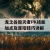 龙之谷毁灭者PK技能加点及连招技巧详解