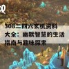 308二四六玄机资料大全：幽默智慧的生活指南与趣味探索