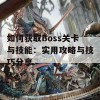 如何获取Boss关卡与技能：实用攻略与技巧分享