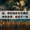 449944金光佛网站，带你畅游金光佛的神奇世界，感受不一样的体验！