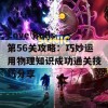 Love Balls第56关攻略：巧妙运用物理知识成功通关技巧分享