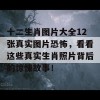 十二生肖图片大全12张真实图片恐怖，看看这些真实生肖照片背后的惊悚故事！