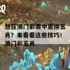 想在澳门彩票中赢得五肖？来看看这些技巧！澳门彩五肖