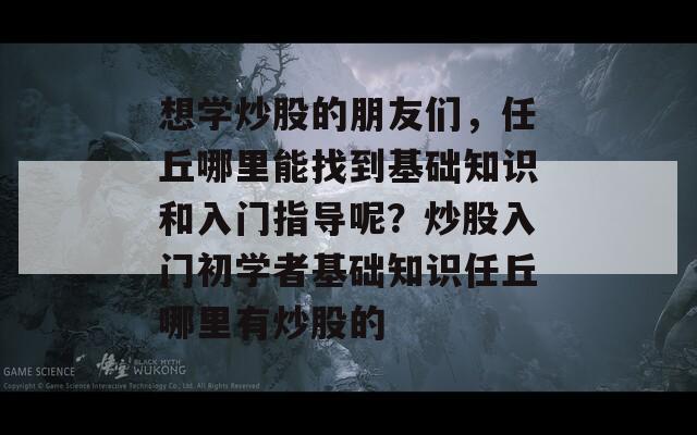 想学炒股的朋友们，任丘哪里能找到基础知识和入门指导呢？炒股入门初学者基础知识任丘哪里有炒股的